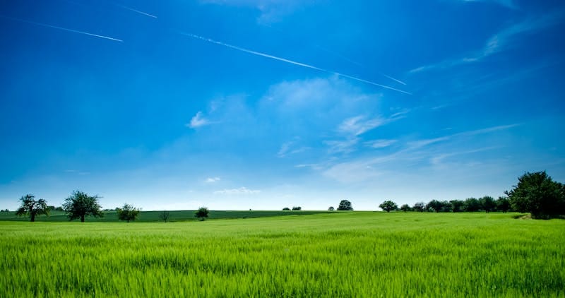 IMAGE_ALT_5